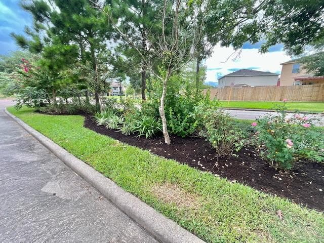 Commerical Landscaping